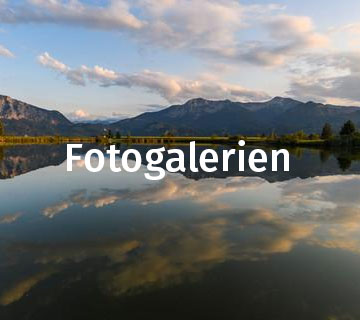 Fotogalerien